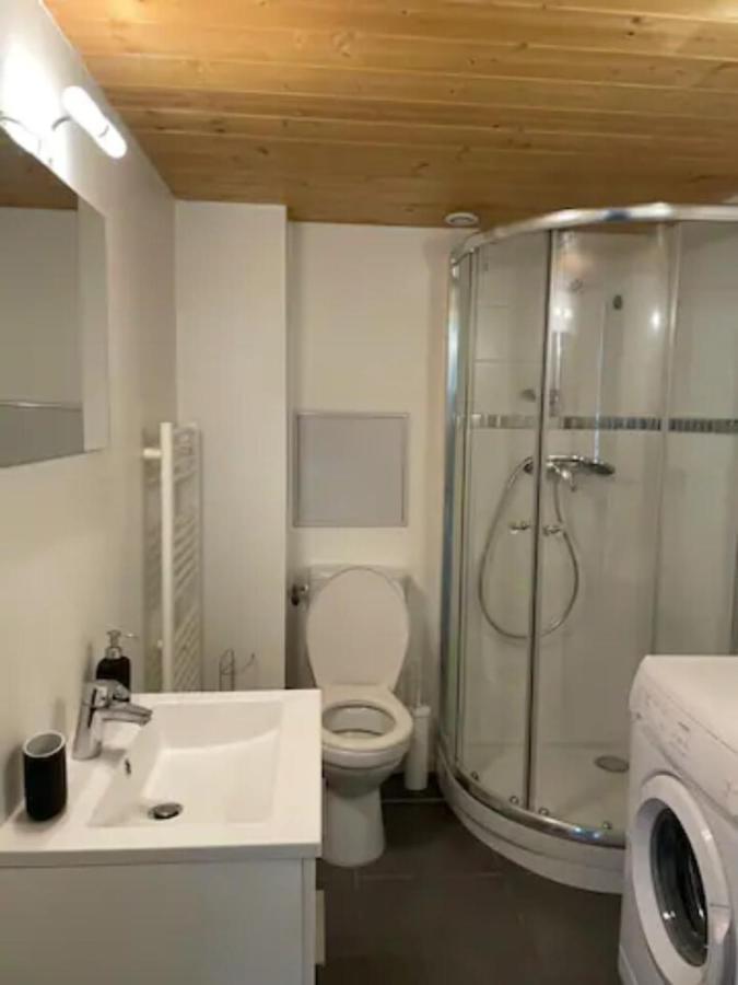 Le Petit Balzac - Cozy 2 People - Villeurbanne Zewnętrze zdjęcie